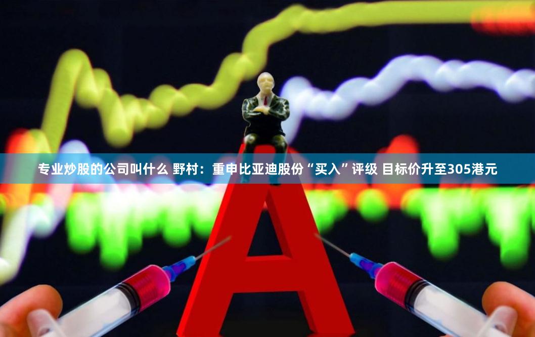 专业炒股的公司叫什么 野村：重申比亚迪股份“买入”评级 目标价升至305港元