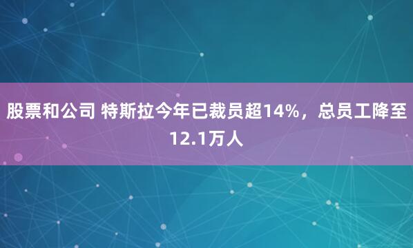 股票和公司 特斯拉今年已裁员超14%，总员工降至12.1万人