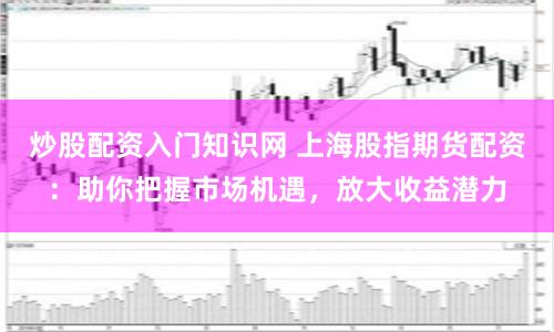 炒股配资入门知识网 上海股指期货配资：助你把握市场机遇，放大收益潜力